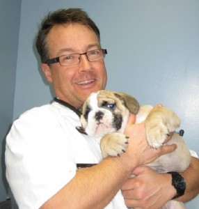 Dr. Tom Foster with Bulldog Puppy